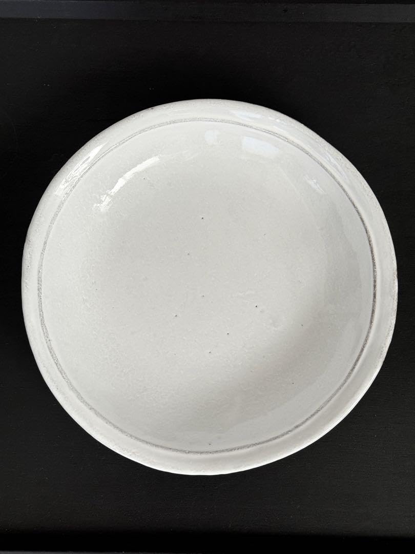 アスティエドヴィラット スーププレート 20cm×2枚セット① 【公式通販】